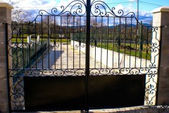 1_CIMG1230