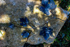 Assemblage feuilles de vigne