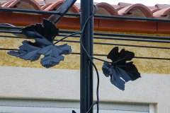 Feuilles de vigne pergola