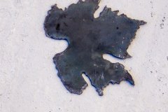 n°1-fabrication-feuilles