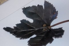 n°3-fabrication-feuilles