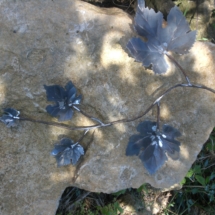 Assemblage feuilles de vigne